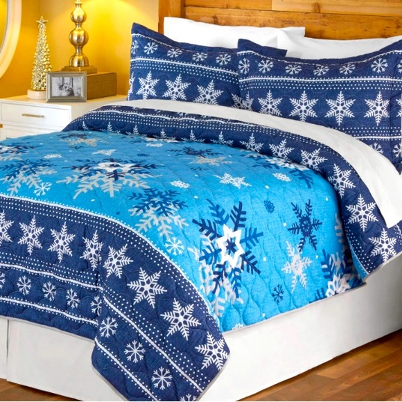 Three piece Blue Snowflake Quilt Set. Full size bed - Picture 1 of 4
